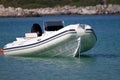 Luxury speedboat parked at sea