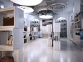 Luxury store interior design art deco style with hints of Contemporary.