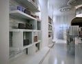 Luxury store interior design art deco style with hints of Contemporary.