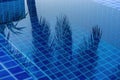 Swimming pool with palm tree leaves reflections in blue pure clear calm water surface Royalty Free Stock Photo