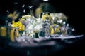 Luxury Table setting for party, Christmas, holidays and weddings Royalty Free Stock Photo