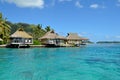 Luxury thatched roof honeymoon bungalows Royalty Free Stock Photo