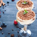 Luxury tiramisu dessert in a cocktail glass decorated with cocoa, blueberries and mint