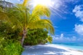 Maldives paradise beach banner. Perfect tropical island. Beautiful palm trees and tropical beach. Moody blue sky and blue lagoon Royalty Free Stock Photo