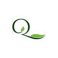 Luxury Tropical Nature Leaves letter Q logo