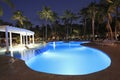 Luxury Tropical swimming-pool illuminated at night