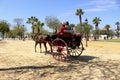 Two-wheeled carriage pulled by a horse