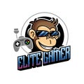 Great monkey e sport vector logo