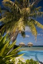 Luxury Vacation - French Polynesia