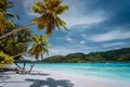 Luxury vacation on tropical island. Paradise beach with white sand and palm trees. Long distance travel tourism getaway Royalty Free Stock Photo