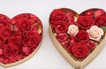 Luxury valentine chocolates in heart shaped gift box and tender roses, cut out on white background