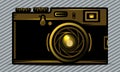 Luxury vector golden photo camera