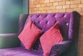 Luxury velvet violet sofa with red cushion for seat