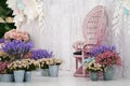 Luxury vintage bamboo chair front of white wood backdrop and many flower around Royalty Free Stock Photo