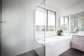 Luxury washroom with white walls and bath tub Royalty Free Stock Photo