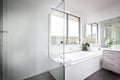 Luxury washroom with white walls and bath tub