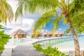 Luxury water villas and wooden pier in Maldives island. Summer vacation or travel holiday background