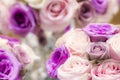 Luxury wedding bouquet of pink and purple roses Royalty Free Stock Photo