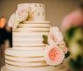 Luxury wedding cake, exclusive high-end design, beautifully decorated professional multi tier premium cake as main