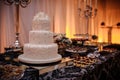 Luxury wedding candy bar with cake, pastries, macaroons and cake pops