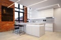 Luxury white kitchen interior