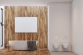Luxury white and wooden bathroom, poster, toilet
