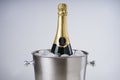 Luxury wine bottle in ice bucket Royalty Free Stock Photo