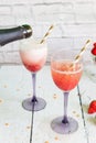 Luxury wine cocktail with strawberry sorbet Royalty Free Stock Photo