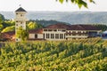 Luxury Winery, Vineyard of grapes in the Vale dos Vinhedos in Bento GonÃÂ§alves, a gaucho wine Royalty Free Stock Photo
