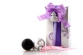 Luxury wrapped silver present Royalty Free Stock Photo