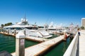 Luxury Yachts Docked in Marina. San Diego Marina Harbor, Fifth Avenue Landing.