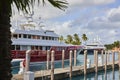 Luxury Yachts Docked at Tropical Marina with Palm Trees Royalty Free Stock Photo