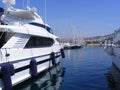 Luxury Yachts in Marina Royalty Free Stock Photo
