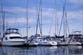 Luxury yachts moored in harbor