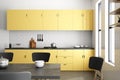 Luxury yellow kitchen interior