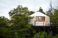 Luxury Yurt in the forest of Chile for Glamping