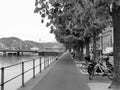 Luzern lake monochrome street bicycle