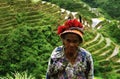 Portrait of old indigenous woman with traditional clothes and plumes headdress, blurred rice terraces background Royalty Free Stock Photo