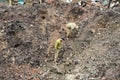 Lviv region, Ukraine - November 16, 2022: Experts examine a crater after a Russian missile strike in a village, near the Ukrainian