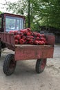 The tractor carries a lot of fire extinguishers Royalty Free Stock Photo