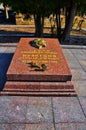 Grave of Nikolai Kuznetsov in the city of Lviv on the Hill glory