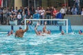 Lviv, Ukraine - July 2015: Ukrainian Cup water polo. Athlete team's water polo ball in a swimming pool and makes attacking shot on Royalty Free Stock Photo