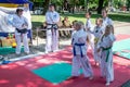 Lviv, Ukraine - July 2015: Yarych street Fest 2015. Demonstration exercise outdoors in the park children and their teacher