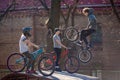 Lviv, Ukraine - March 12, 2020: BMX in the city skatepark. A group of teens on Bmx bikes in a skate park. Extreme sports Royalty Free Stock Photo