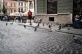 LVIV, UKRAINE - october 13, 2019 Pigeons at the city square. Dove sitting on the street. Birds group in the outdoor