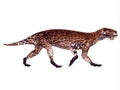 Lycaenops Permian Dinosaur