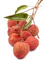 Lychee