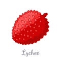 Lychee Exotic Juicy Fruit Vector Litchi Liechee