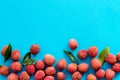 Lychee frame. Exotic asian fruits on blue background top-down copy space Royalty Free Stock Photo