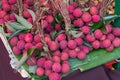 Lychee, Fresh lychee and peeled showing the red skin and white f